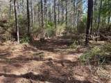 15899 Wood Grove Way - Photo 3