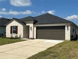 1015 Star Grass Lane - Photo 1