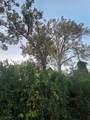 851 Jaquet Drive - Photo 4