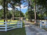 19910 Turtle Dove Lane - Photo 3