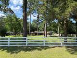 19910 Turtle Dove Lane - Photo 4