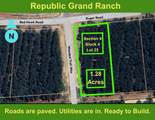 10999 Ruger Road - Photo 1