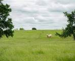 1716 B County Road 469 - Photo 8