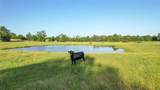 3188 State Highway 75 - Photo 6