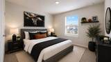 10321 Lancaster Forest Lane - Photo 5