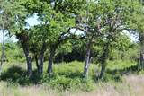 TR 53 Pr 1315 Road - Photo 7