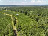 02 Fire Tower Road - Photo 1
