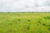 52.5 Acres Bernardo Road - Photo 10