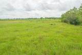 52.5 Acres Bernardo Road - Photo 11