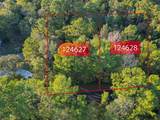 TBD Lake Mount Pleasant Road - Photo 1