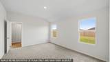 27548 Evergreen Cone Lane - Photo 10