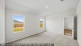 27548 Evergreen Cone Lane - Photo 14