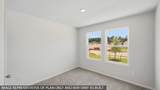 27548 Evergreen Cone Lane - Photo 7