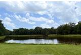 10 Cypress Lakes Circle - Photo 12