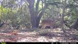 0 Cedar Hill Road - Photo 11