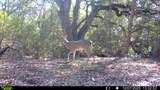 0 Cedar Hill Road - Photo 14