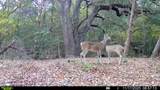 0 Cedar Hill Road - Photo 5