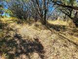 TBD Forest Drive - Photo 8