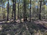 0 County Road 401 - Photo 3