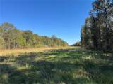 0 County Road 401 - Photo 4