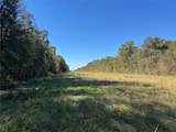 0 County Road 401 - Photo 6