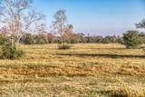 TBD Bauer Hockley Road - Photo 10