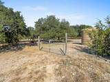 1719 Sisterdale Road - Photo 24