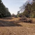 Lot 8 County Road 114 - Photo 8