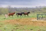 9448 Fm 1370 - Photo 9