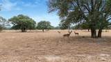 13320 Us Highway 77 - Photo 15
