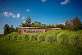 238 Bronze View Drive - Photo 49