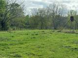 TBD County Road 394 - Photo 15