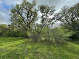 TBD County Road 394 - Photo 30