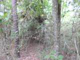 Na River Drive - Photo 6