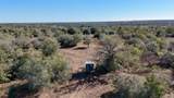7180 County Road 283 - Photo 25