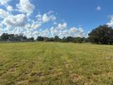 2934 Horse Trail Drive - Photo 4