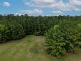 TBD Fm 1791 Road - Photo 20