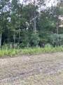 228 Windmill Road - Photo 4
