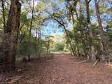 2080 County Road 1100 - Photo 6