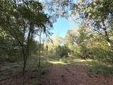 2080 County Road 1100 - Photo 7