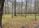 TBD County Road 112 - Photo 1