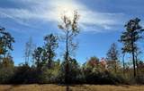 312 Iron Horse Road - Photo 9