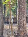 0 Spring Creek Drive - Photo 7