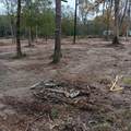 Lot 22 Plum Pudding Road - Photo 5
