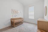983 Terlingua Creek Drive - Photo 24