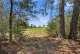 27390 Fm 1097 West - Photo 10