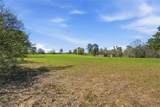 27390 Fm 1097 West - Photo 5