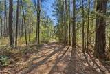 27390 Fm 1097 West - Photo 9