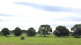 25923 Nelson Road - Photo 3