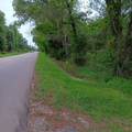 823 County Road 401 - Photo 1